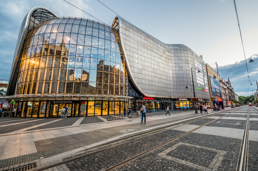 Katowice: Kogo Potrzebuje Rynek Pracy?